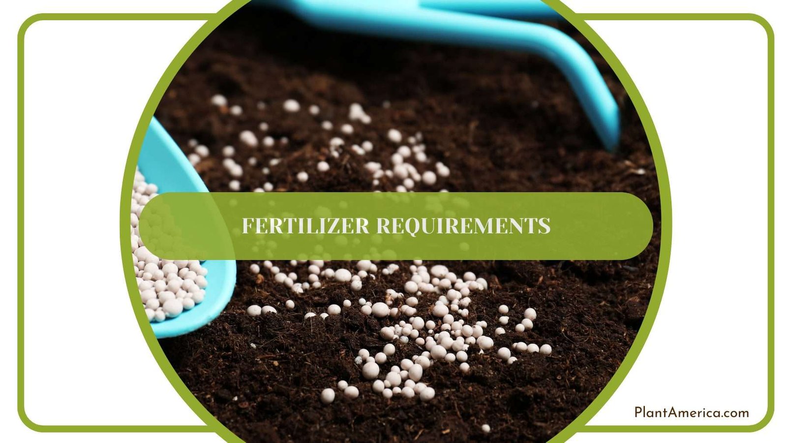 Fertilizing Sarian Plants Plant America