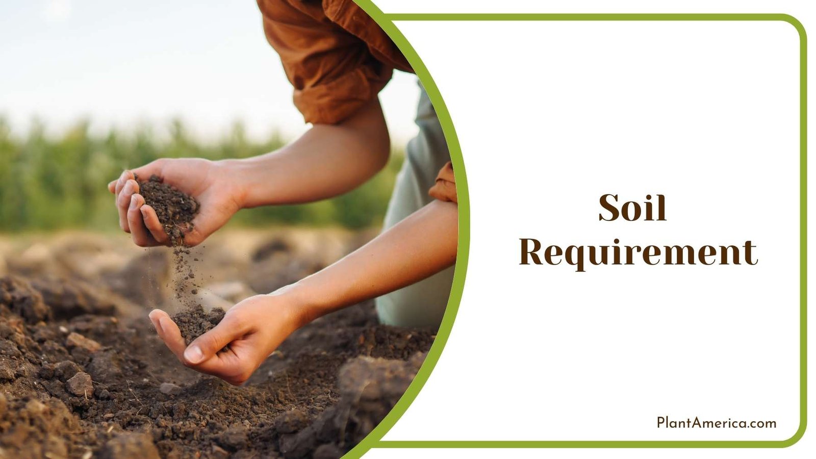 Gardener Checking The Soil In Her Hands Plant America
