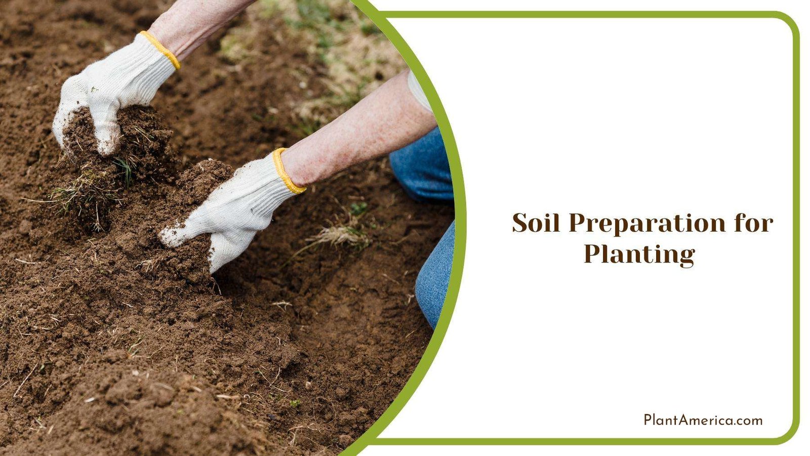Gardener Preparing The Soil For Planting PlantAmerica