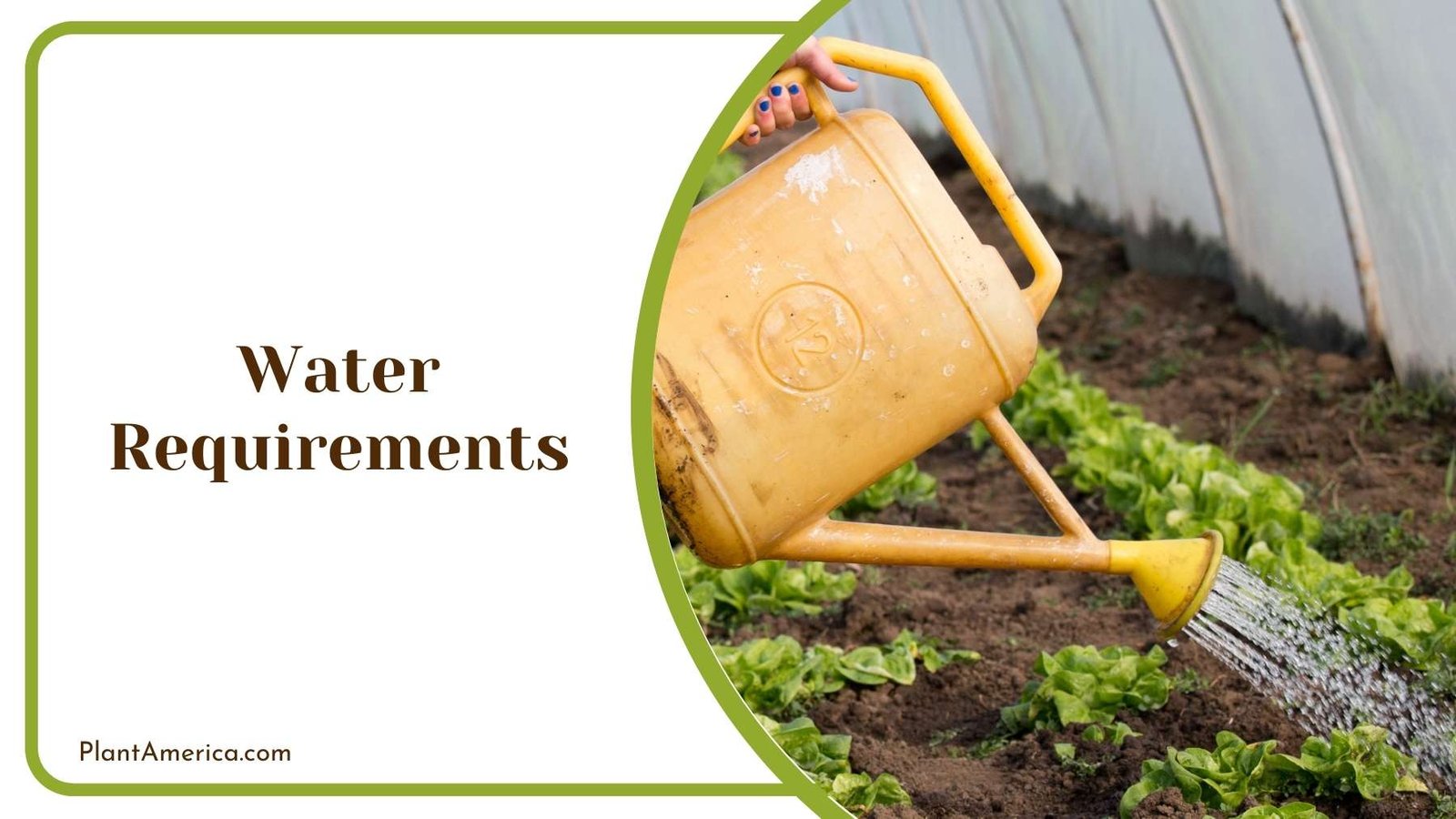 Gardener Watering The Farm Plant America
