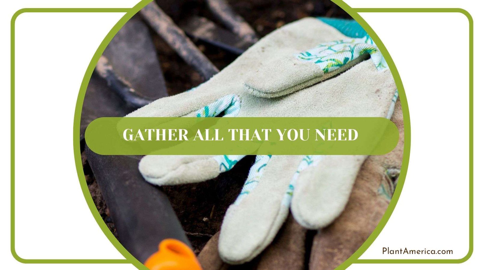 Gathering All That Needed Plant America 1 Gathering All That Needed Plant America 1