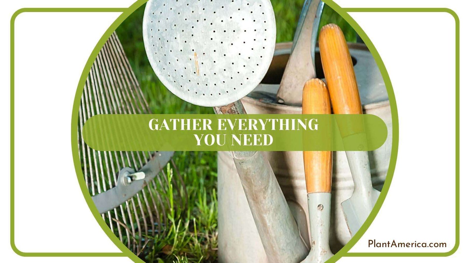 Gathering Everything Needed Plant America