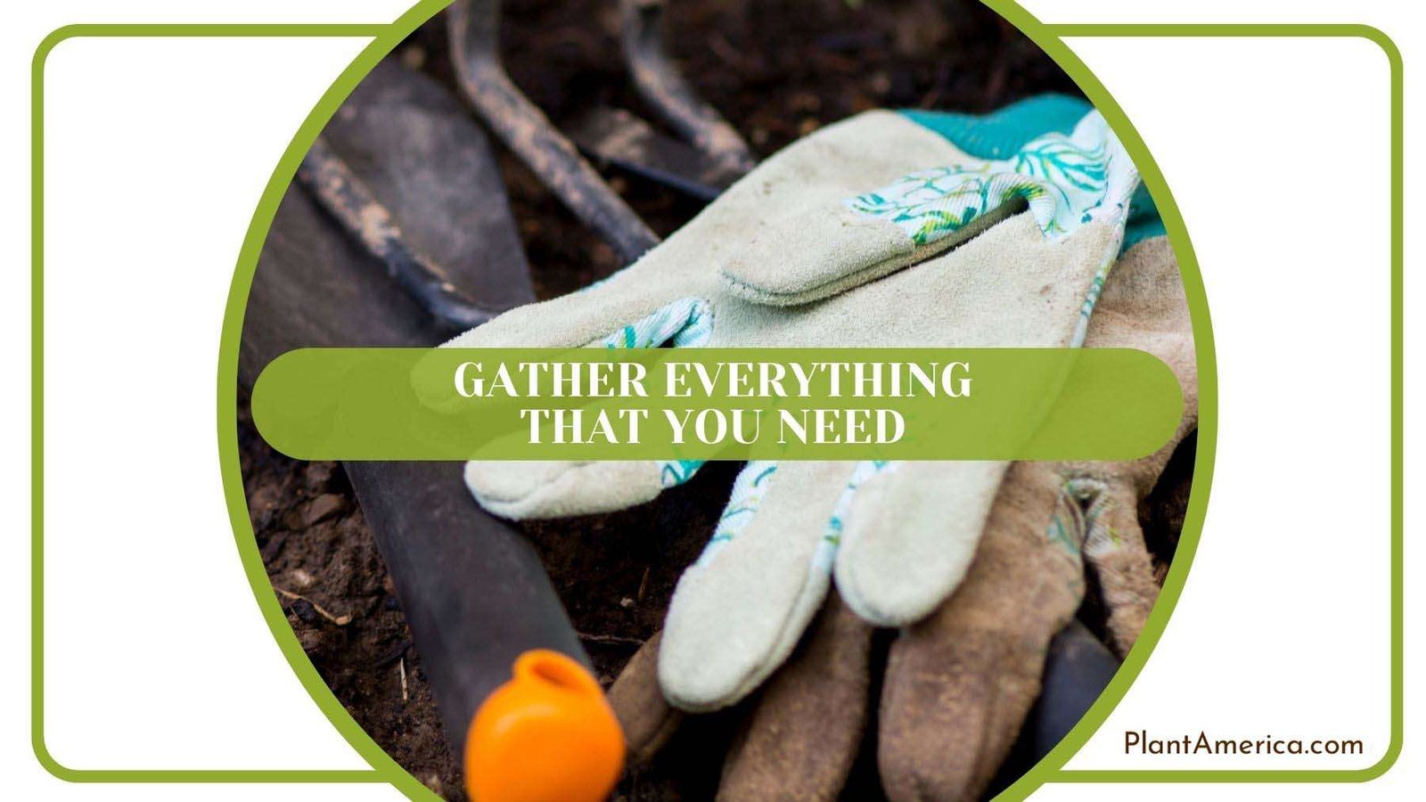 Gathering Everything That Needed Plant America