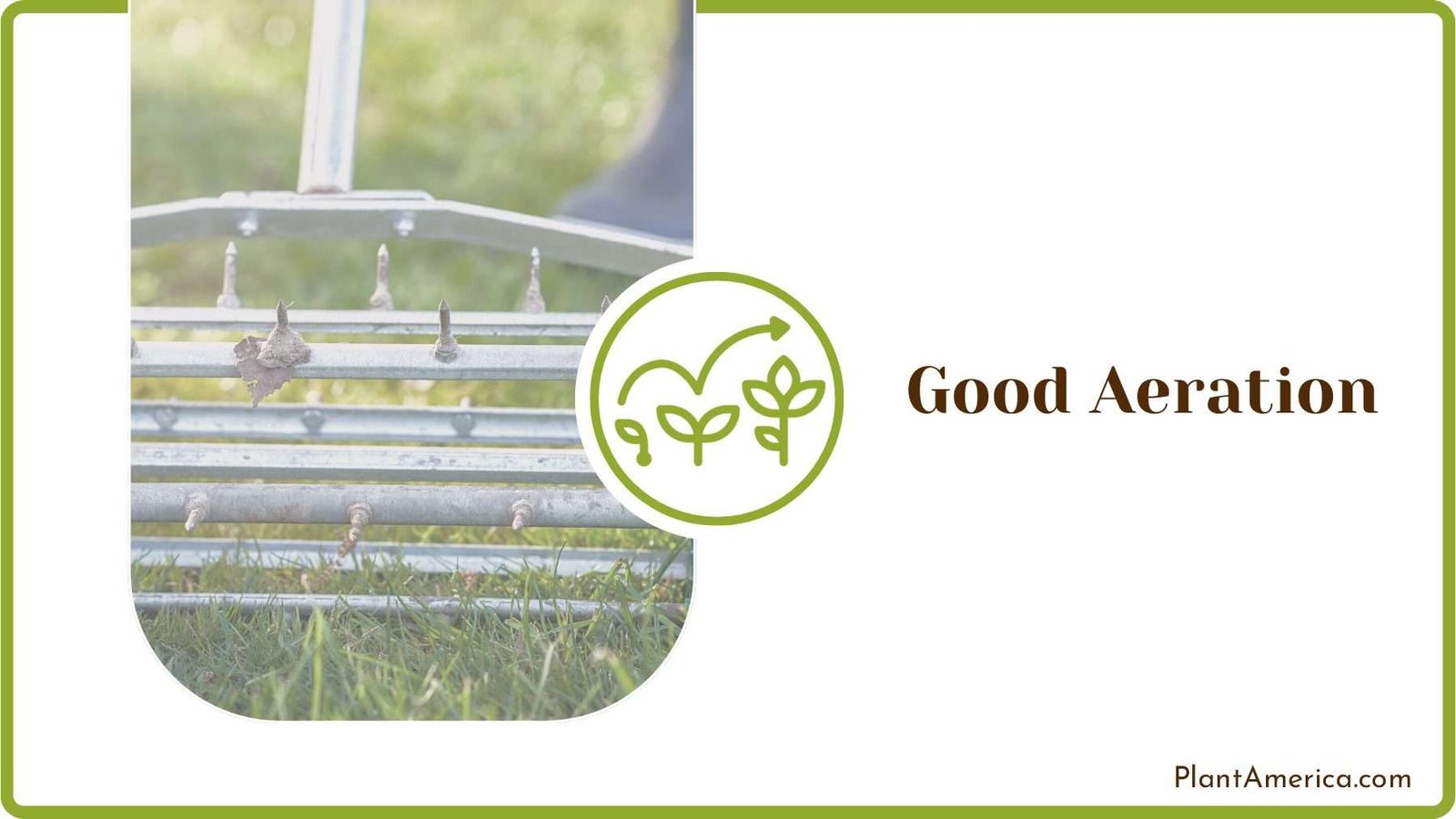 Good Aeration for Peonies Plant America Good Aeration for Peonies Plant America
