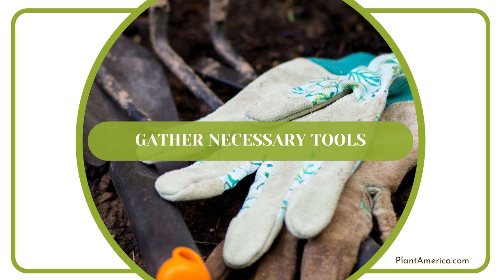 Lantana Necessary Tools Plant America Lantana Necessary Tools Plant America
