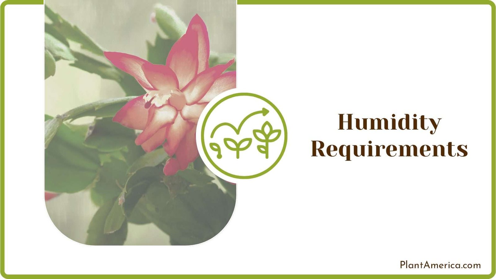 Moisture and Humidity Requirements Plant America Moisture and Humidity Requirements Plant America