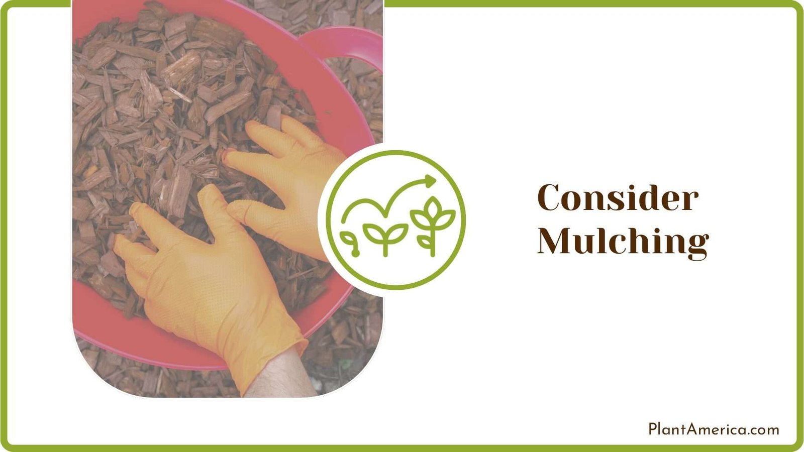 Mulching in the Garden Plant America Mulching in the Garden Plant America