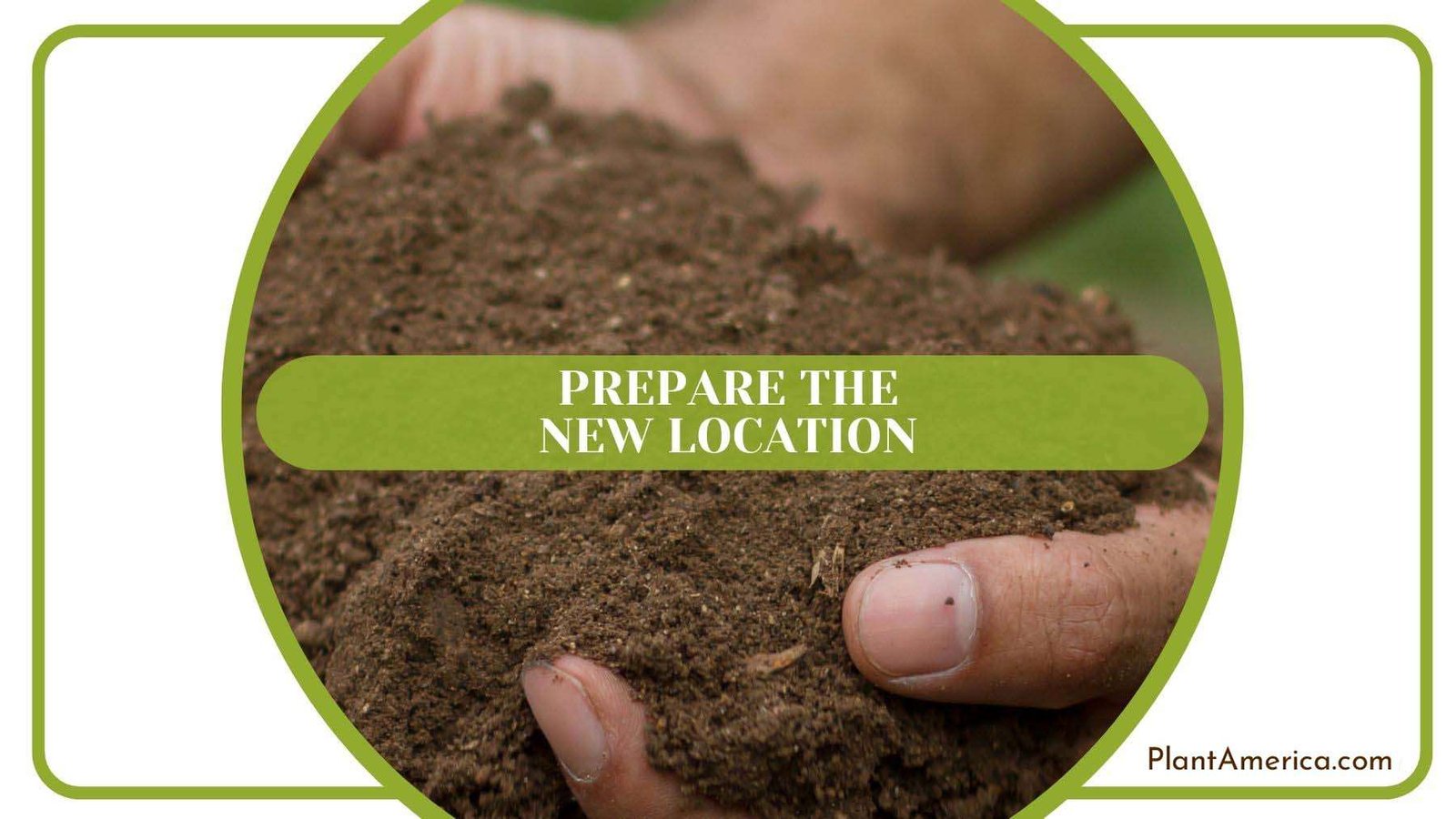 Preparing New Location Plant America