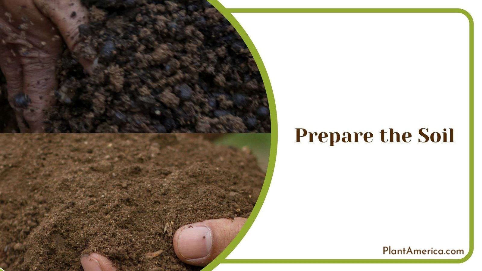 Preparing Soil for Milkweed Plant America
