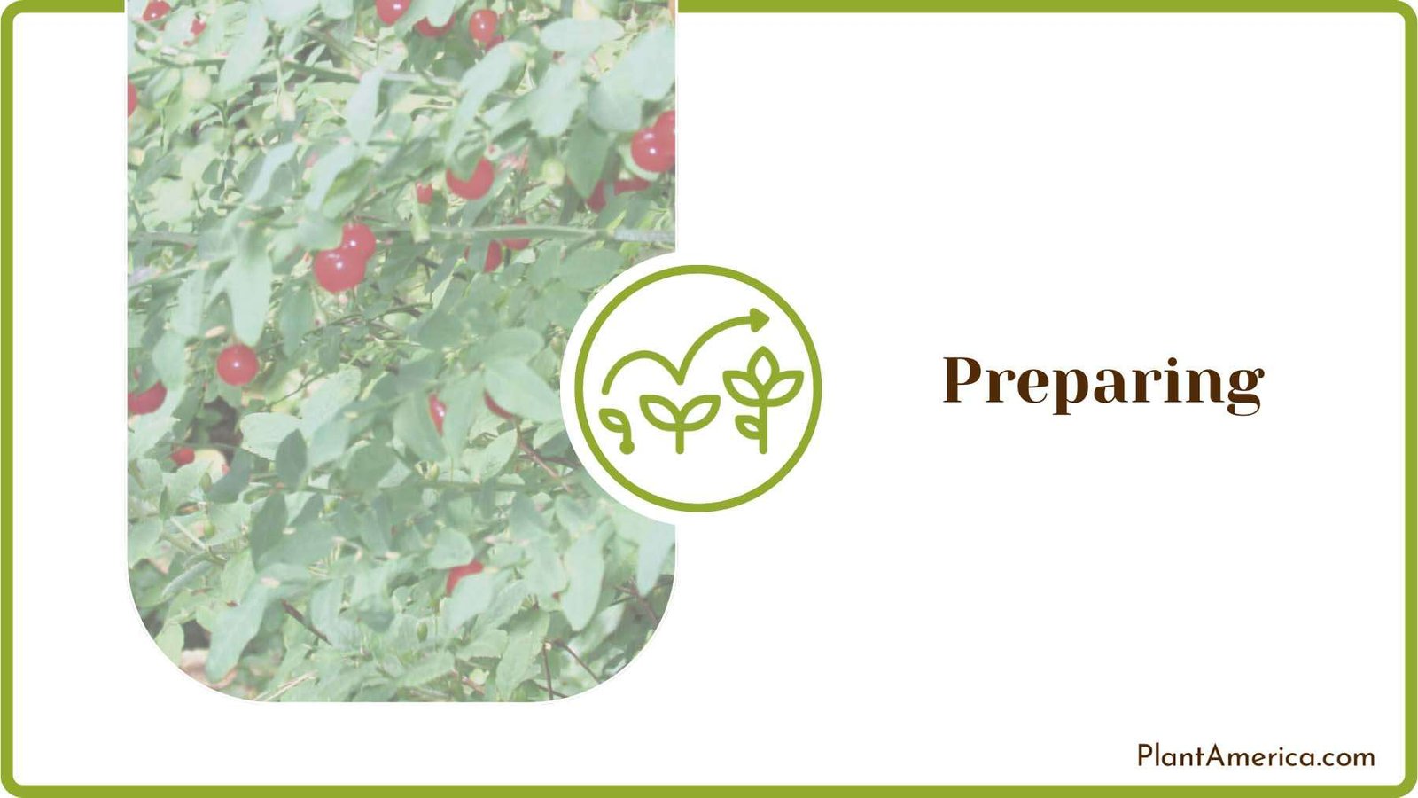 Preparing for Transplanting Plant America Preparing for Transplanting Plant America