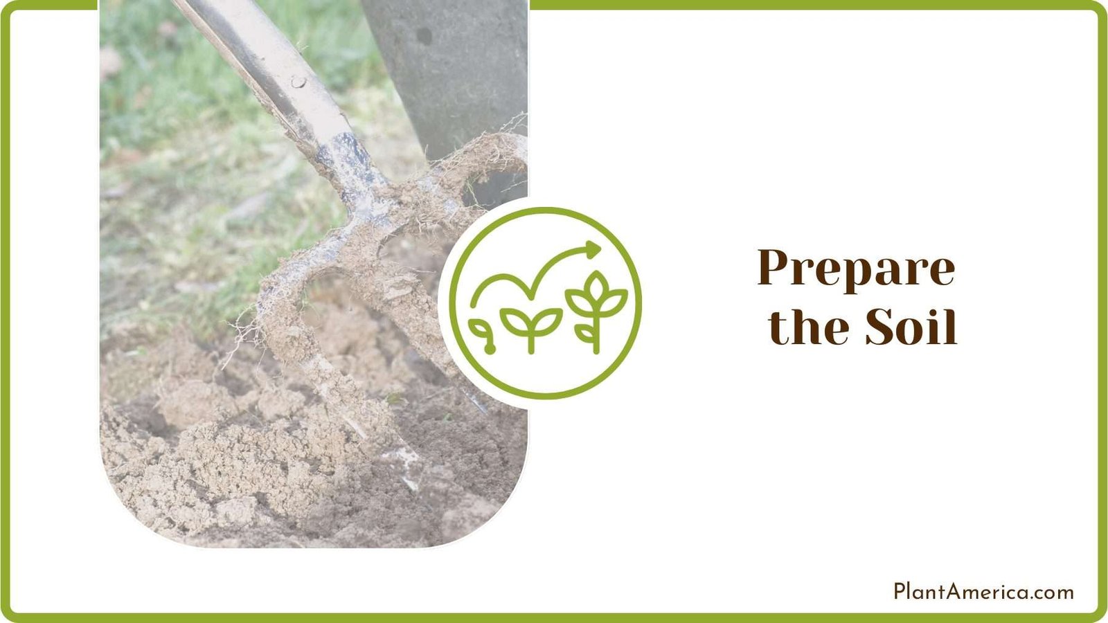 Preparing the Soil Evergreen Seeds