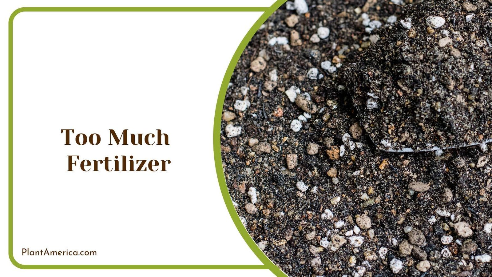 Soil Mix for Plants PlantAmerica