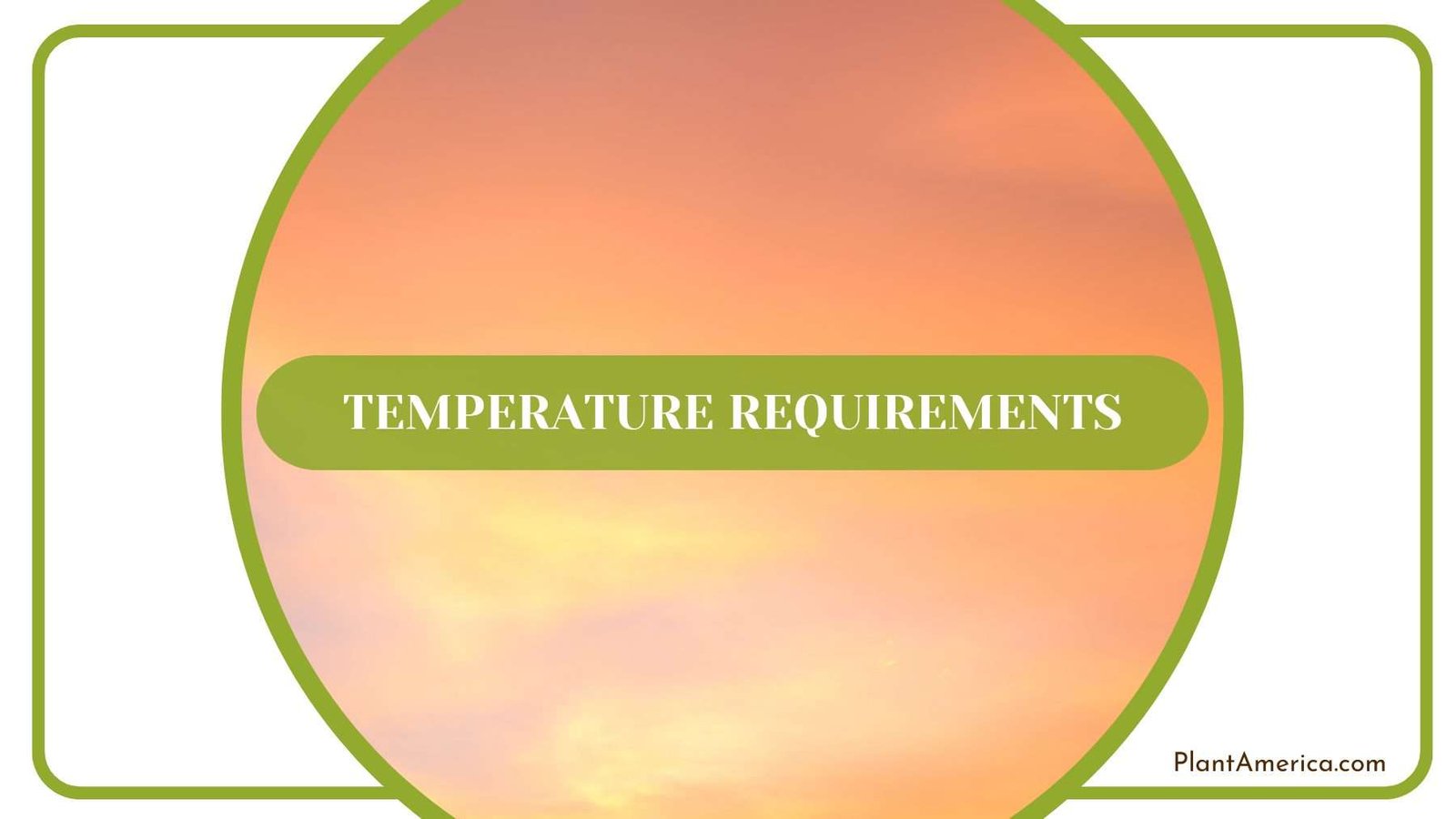 Temperature for Gracilis Plant America