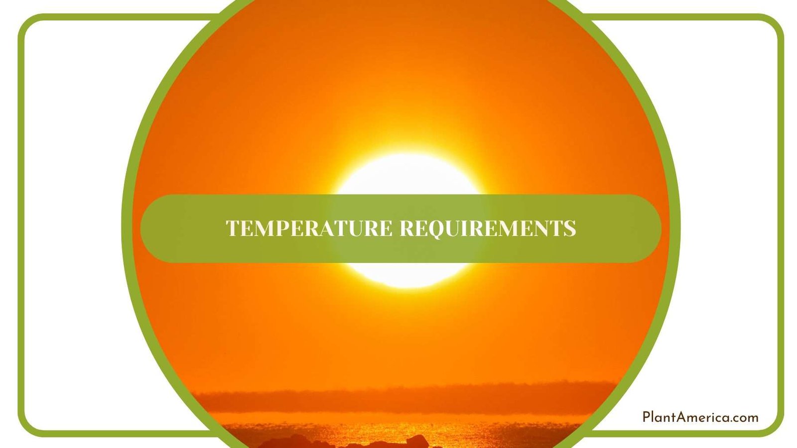 Temperature for Macrorrhiza Plant America