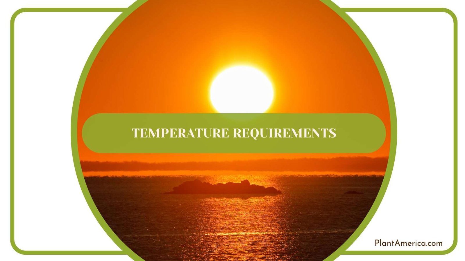 Temperature for Sarian Plant America