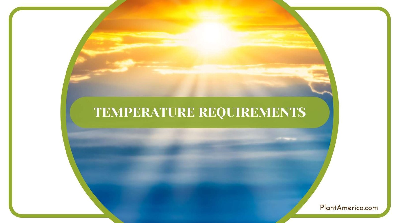 Temperature of Insigne Plant America