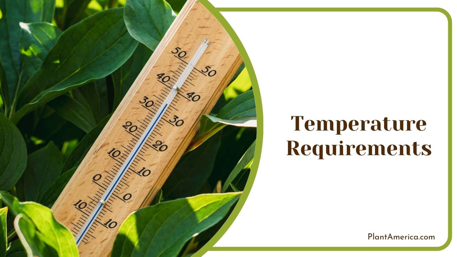 Thermometer Among Green Leaves Plant America