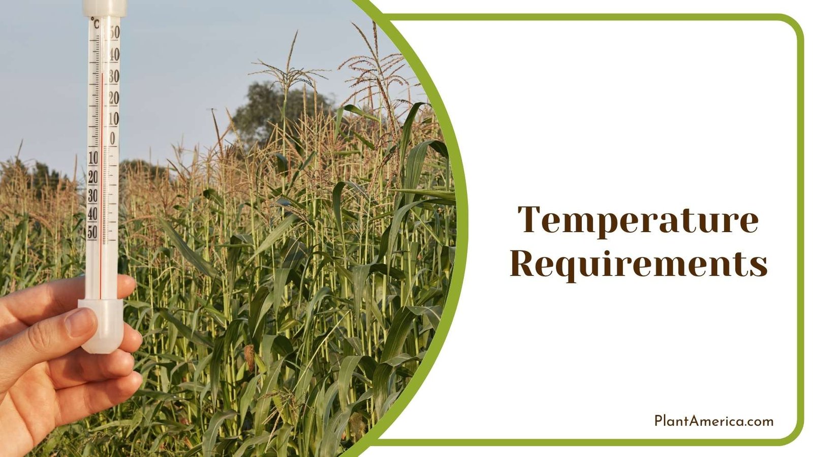 Thermometer In Hands Of a Farmer Plant America