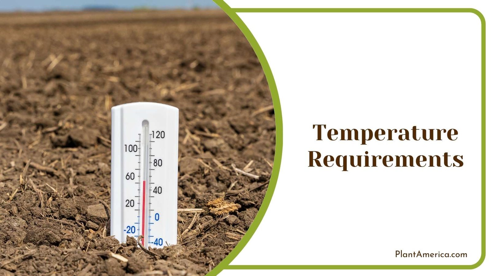 Thermometer In Soil Plant America