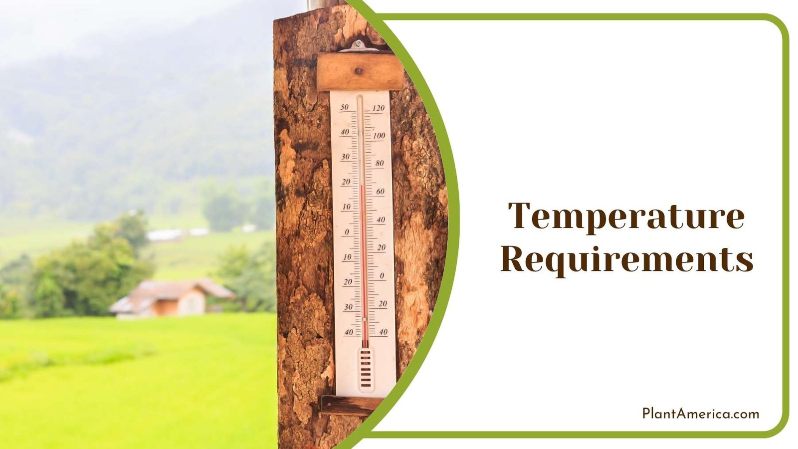Thermometer On Wooden Board Plant America