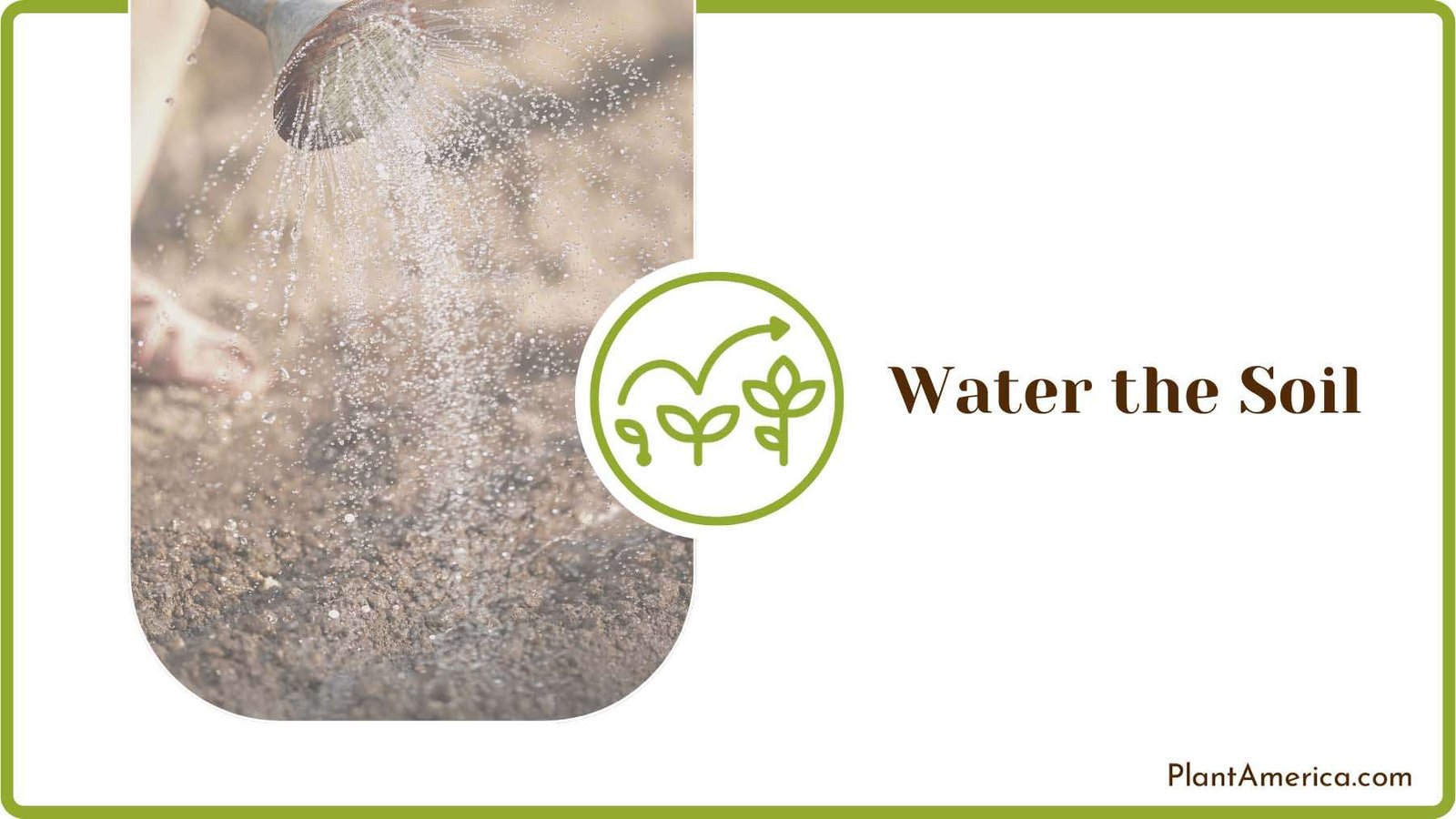 Watering the Soil Plant America Watering the Soil Plant America