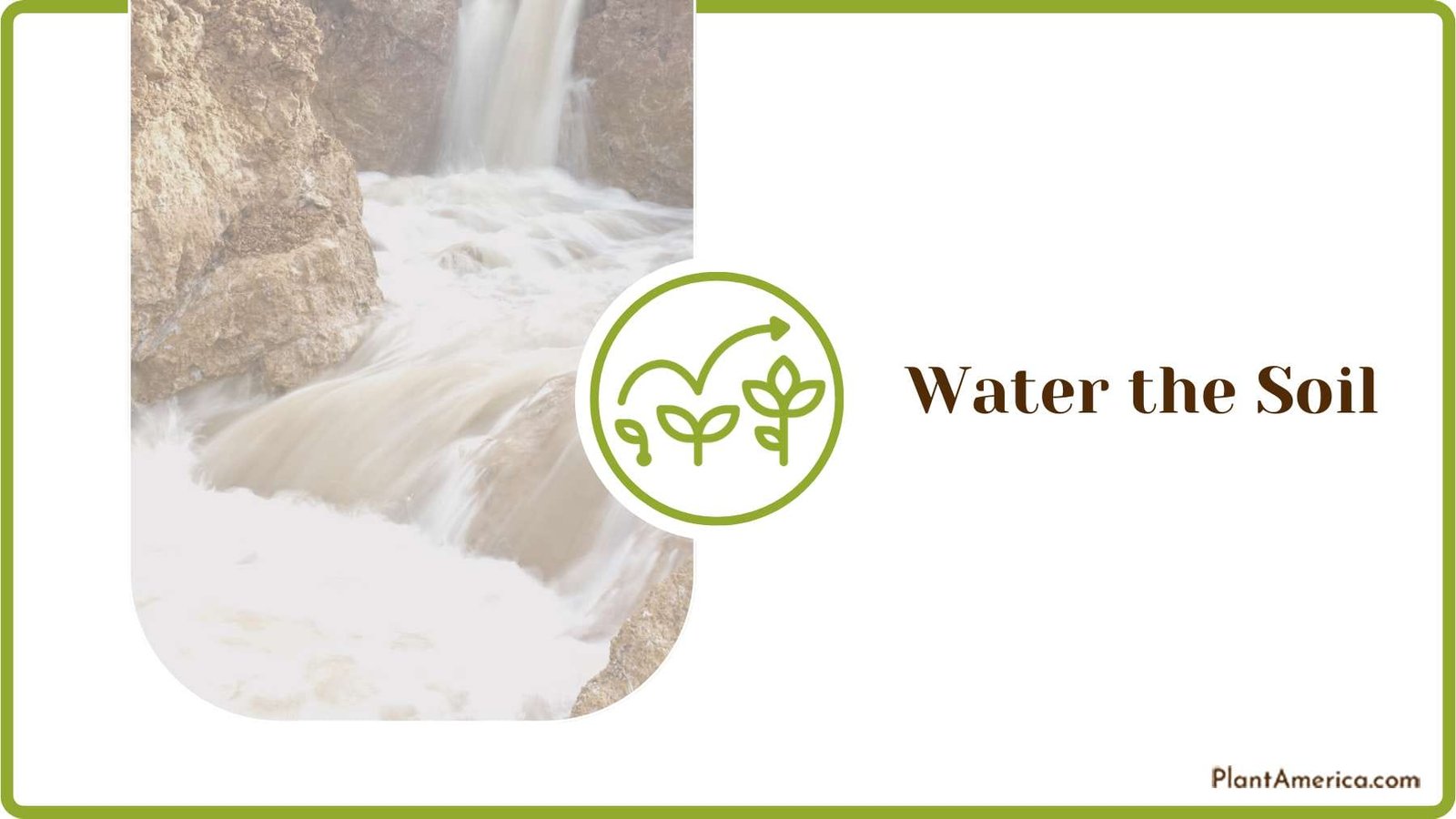 Watering the Soil for Plants Plant America