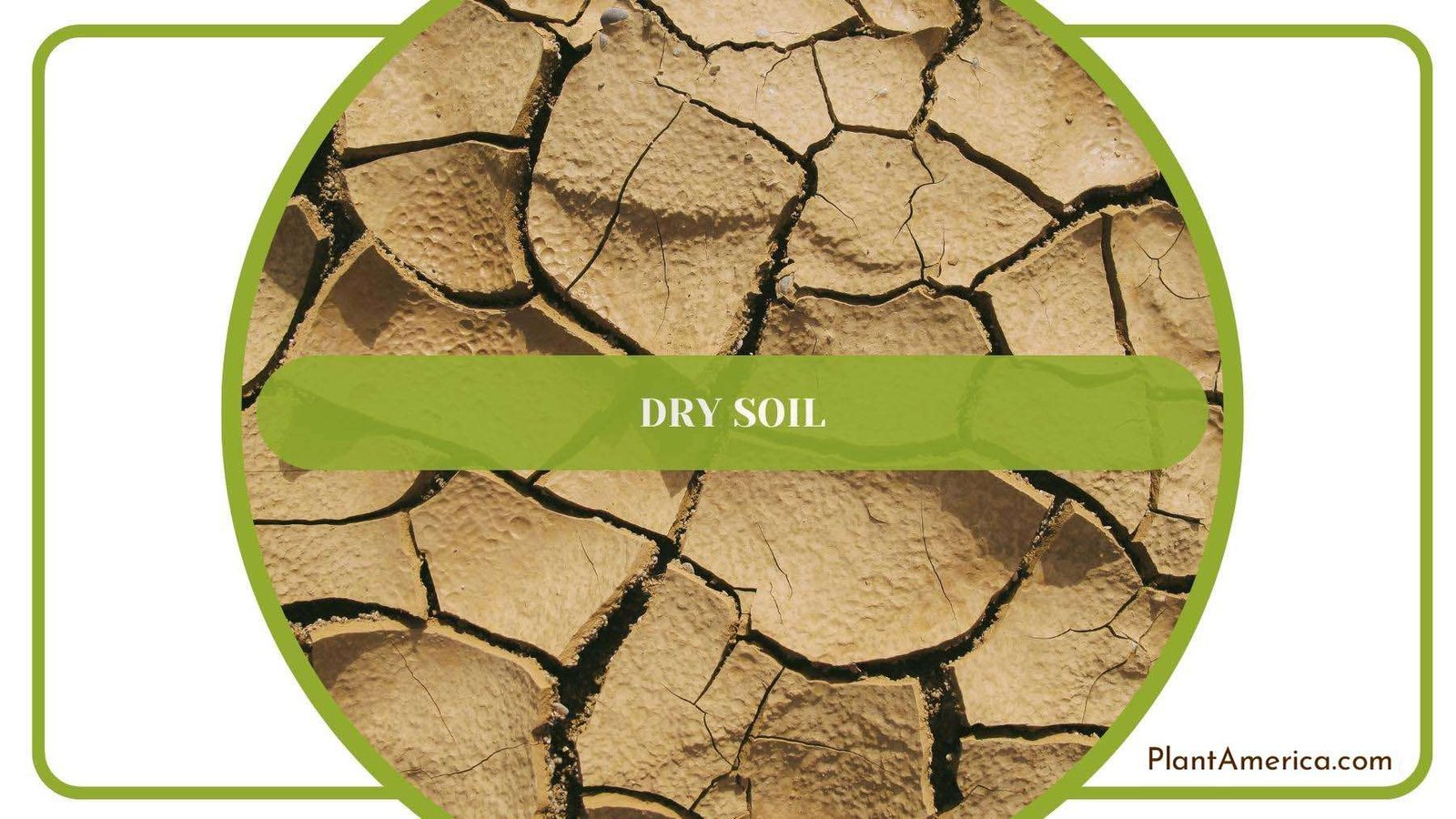 A Dry Soil From Closer Look Plant America