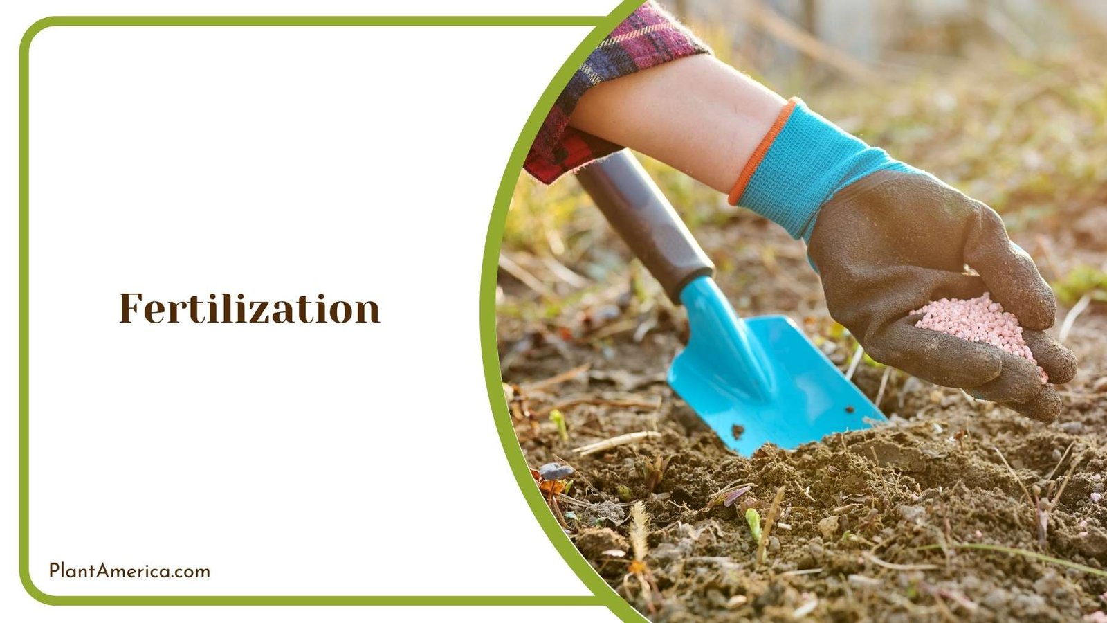 A Gardener While Fertilizating Plant America