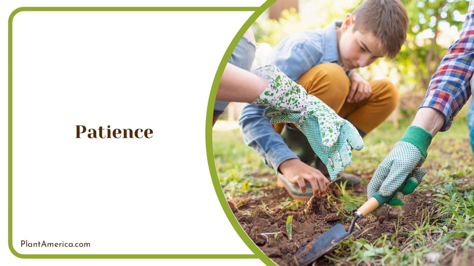 A Kid While Helping His Parents in Harvesting Process Plantamerica