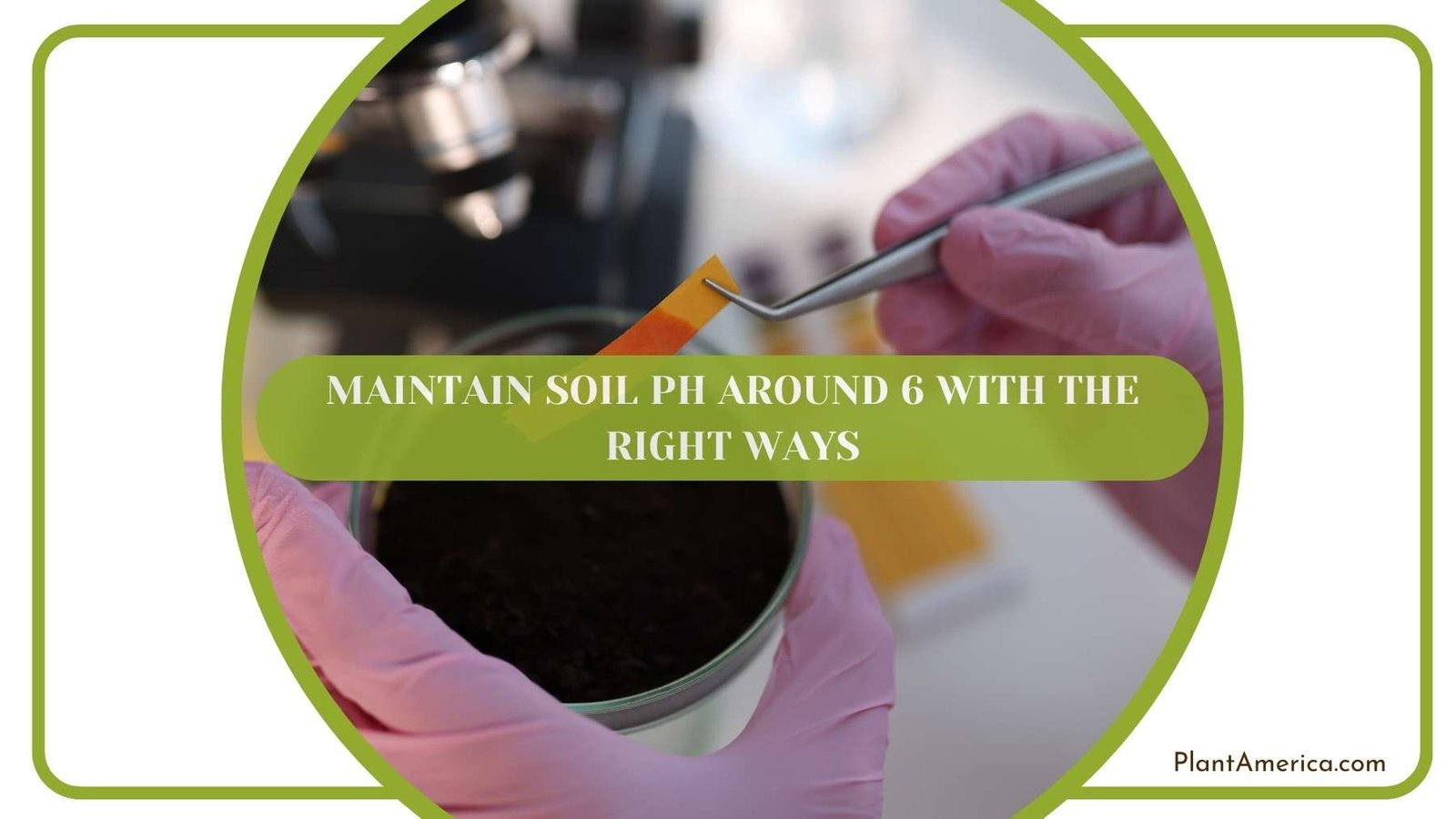 A Shot From Maintaining Soil PH Plant America