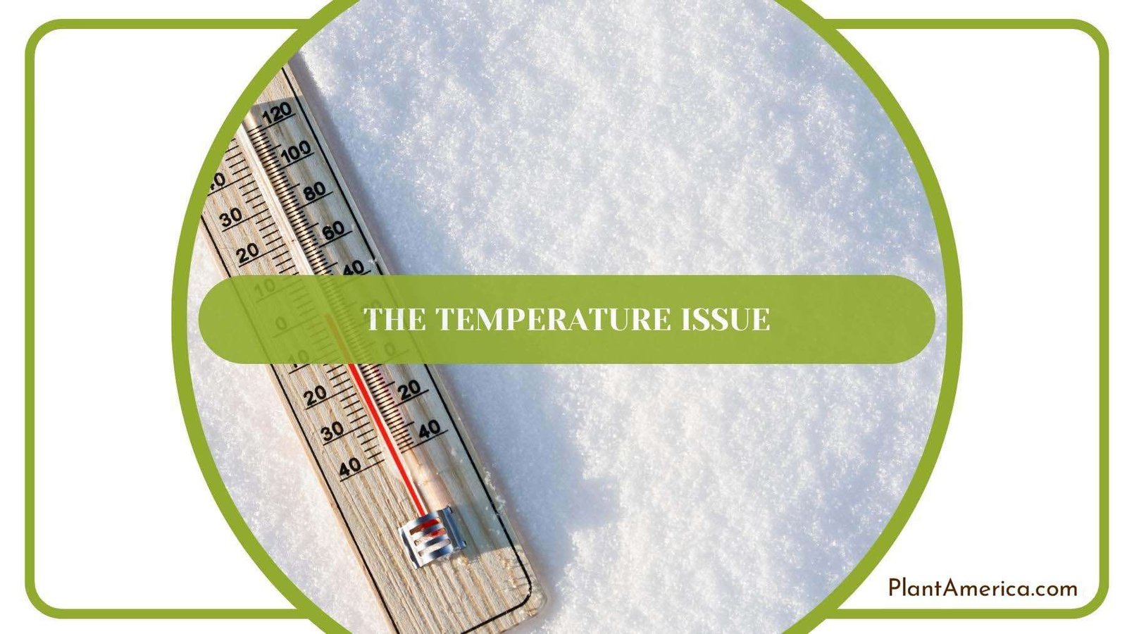 A Thermometer In On Snow Plant America