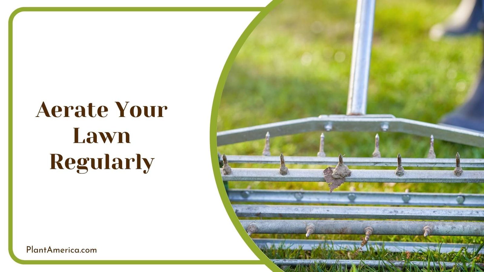 Aerate Your Lawn Regularly Plant America