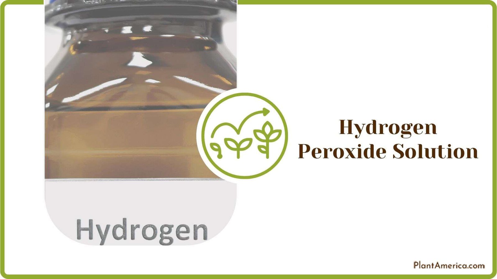 Applying Hydrogen Peroxide Solution Plant America Applying Hydrogen Peroxide Solution Plant America