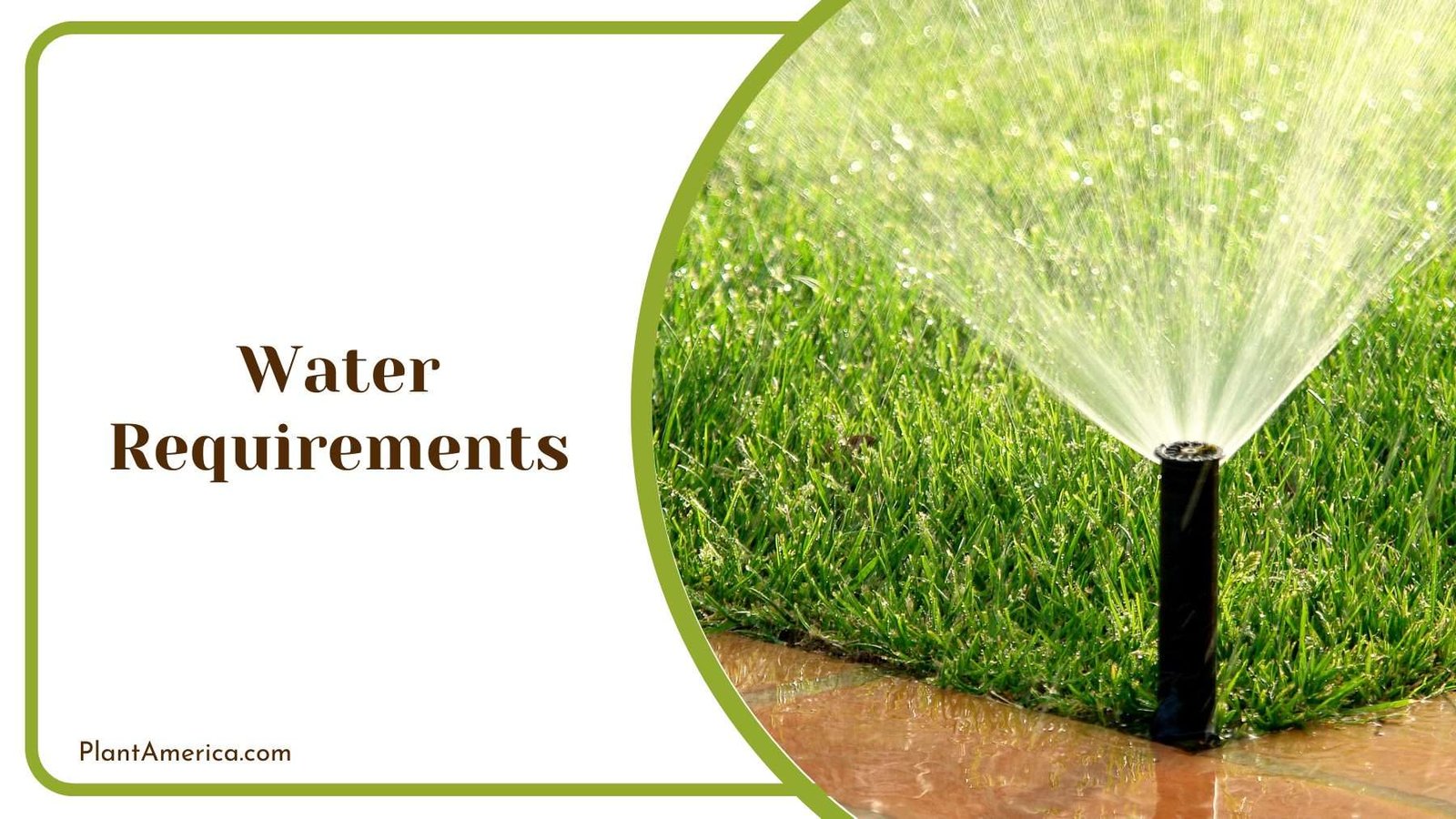 Automatic Field Watering System Plant America Automatic Field Watering System Plant America
