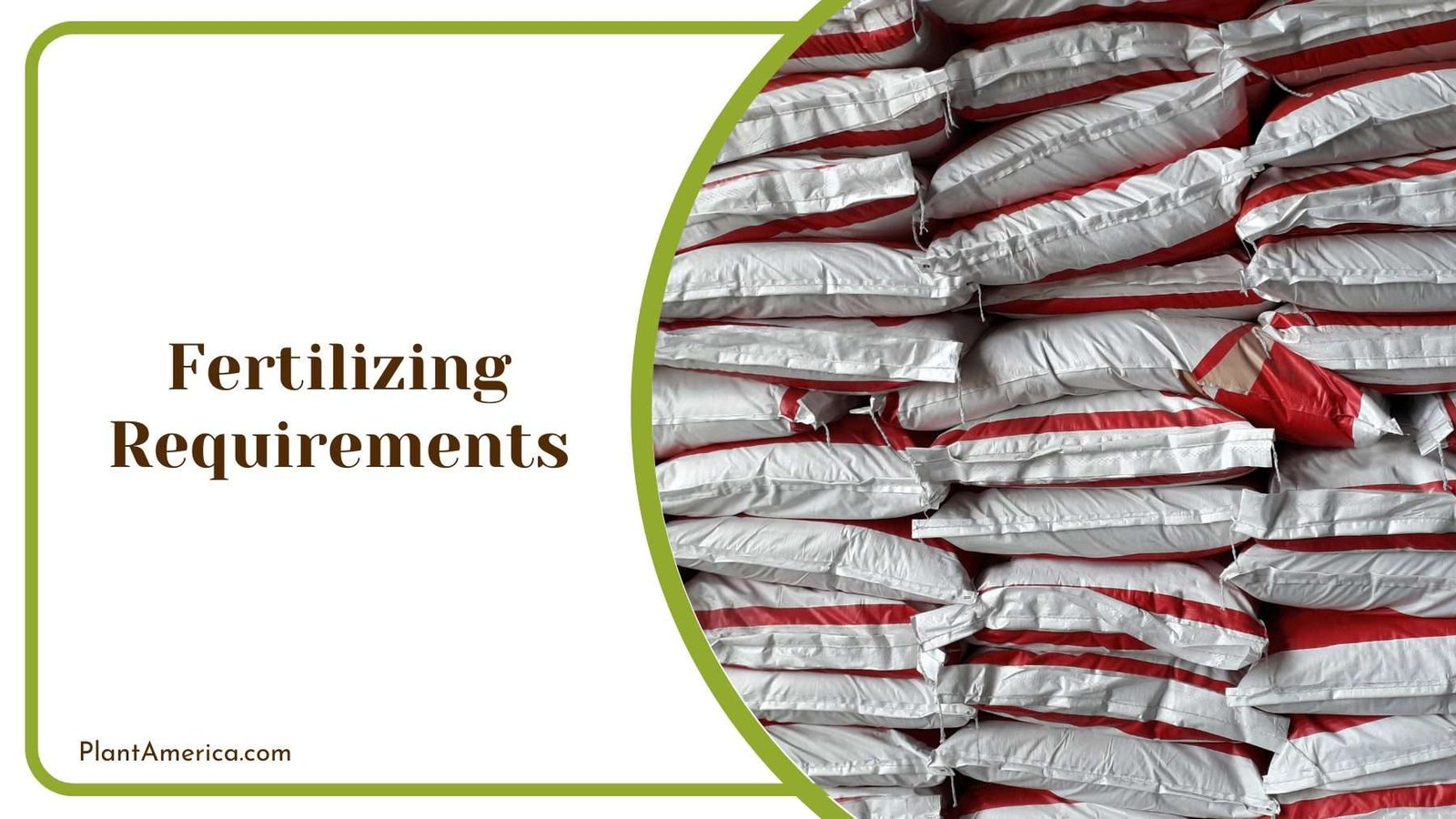 Bags Of Fertilizer Plant America