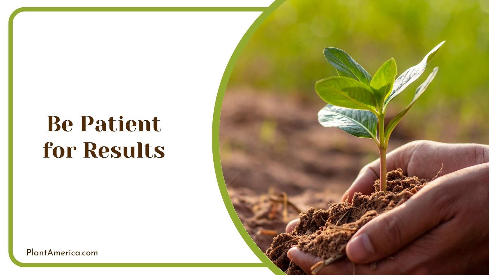 Be Patient for Results Plant America