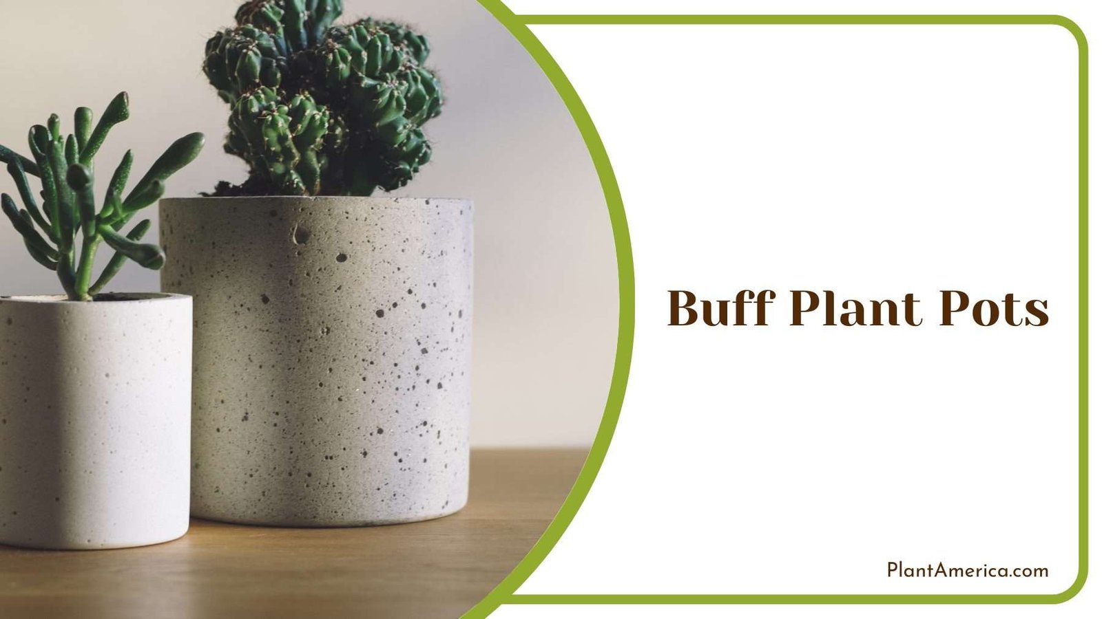 Buff Plant Pots Plant America