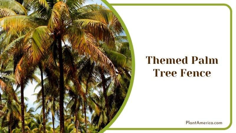 Caribbean Palm Groves Plant America