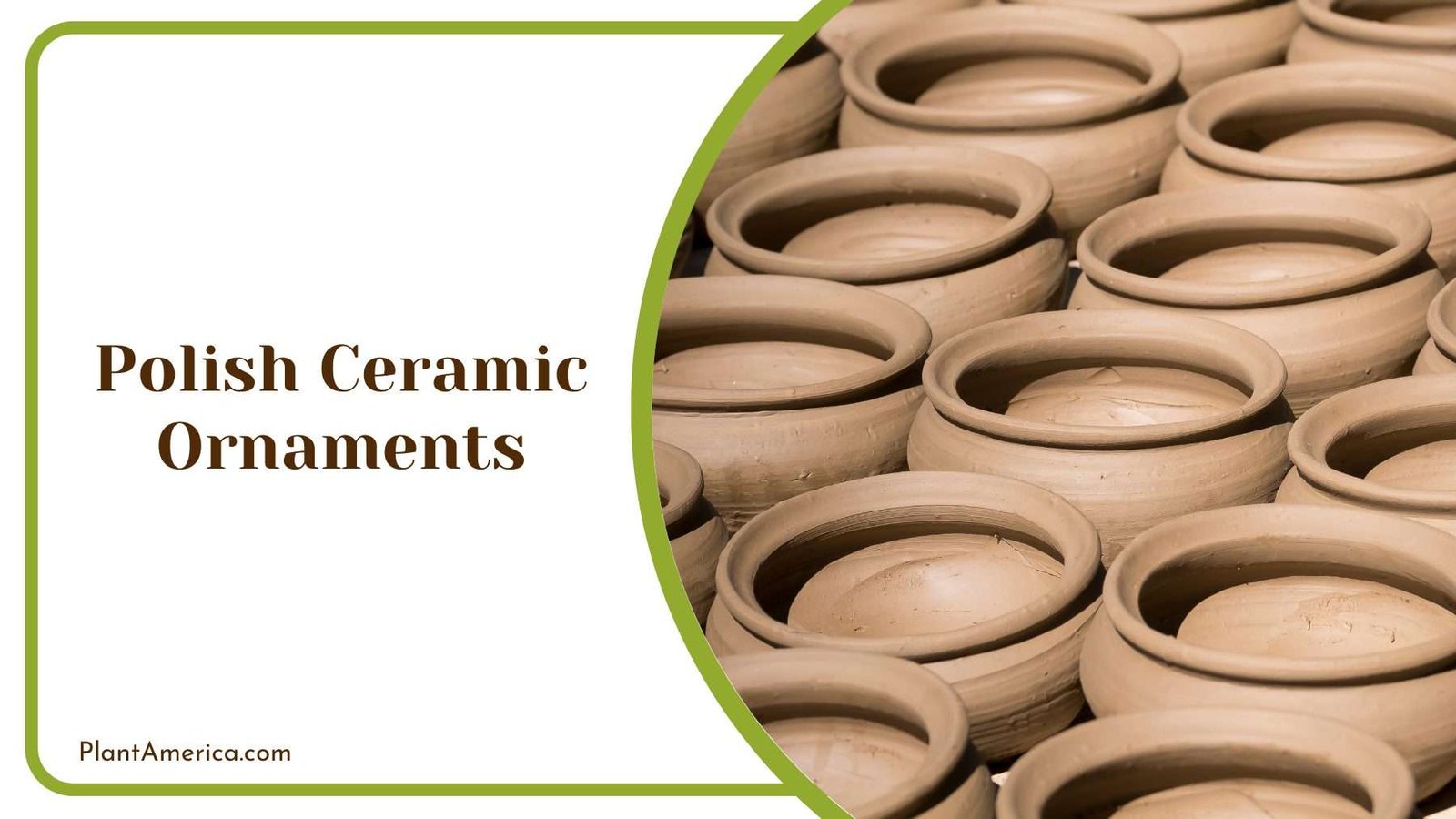 Ceramic Pots Plant America