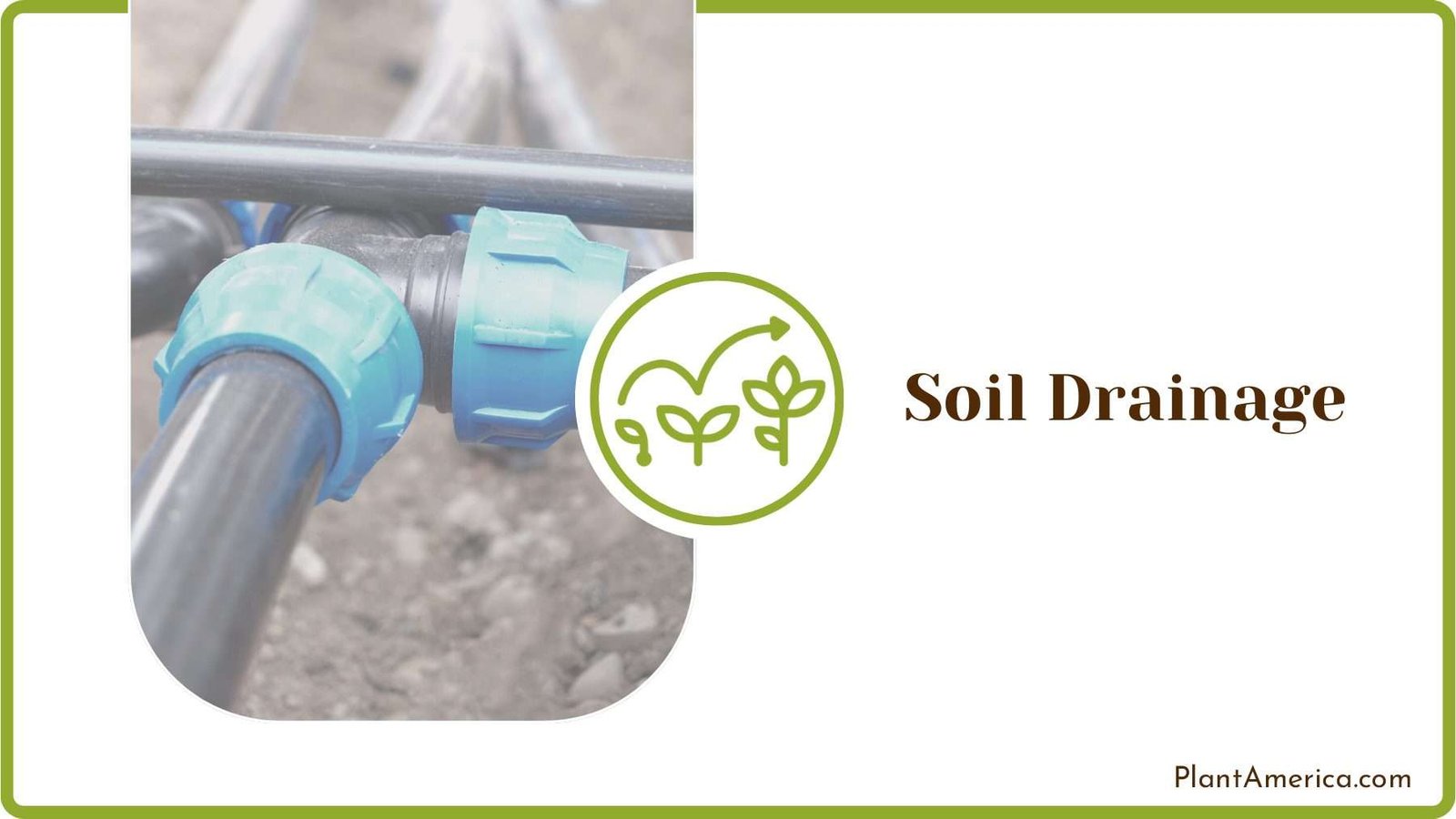 Check the Soil Drainage