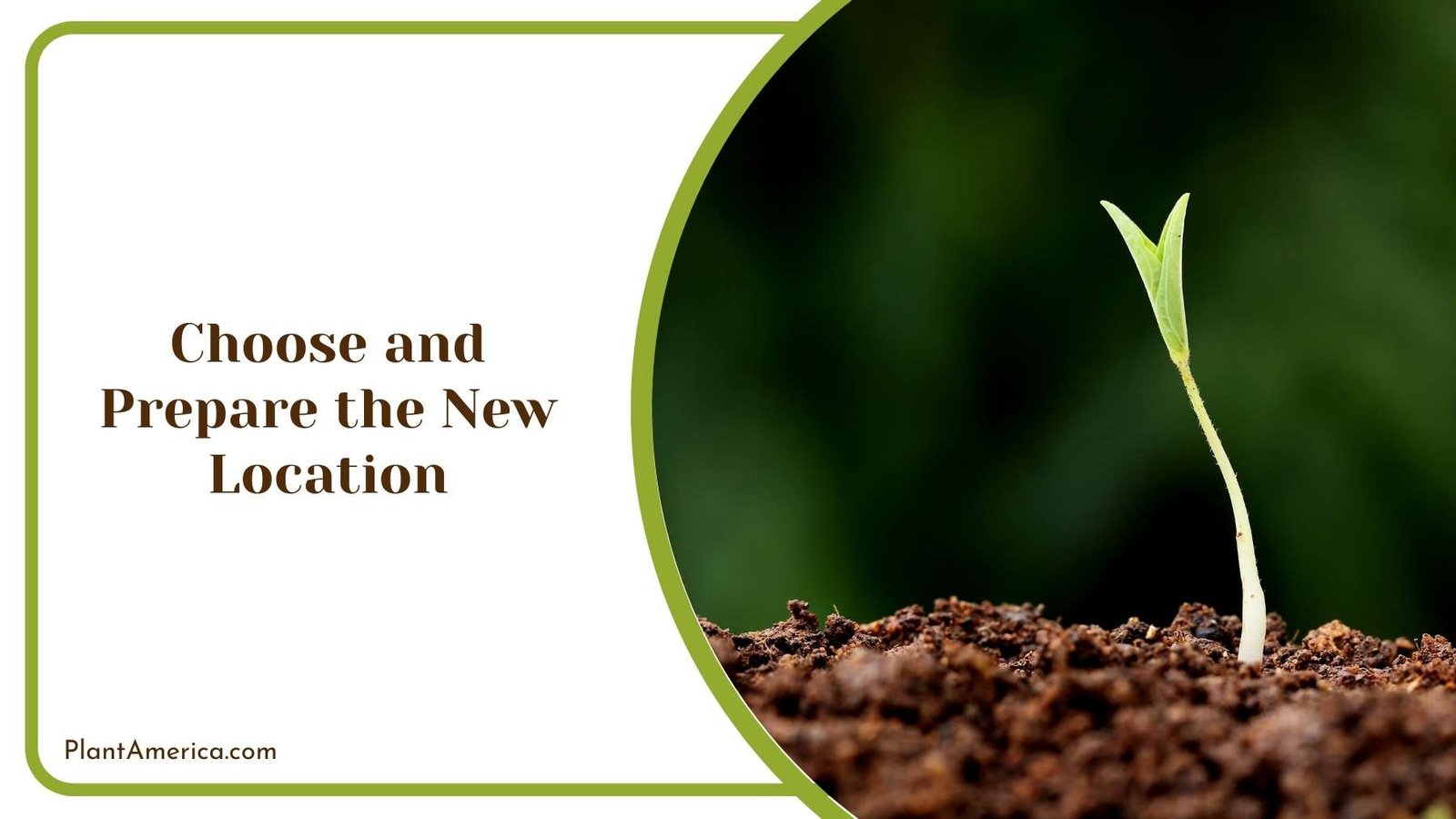 Choose and Prepare the New Location Plant America