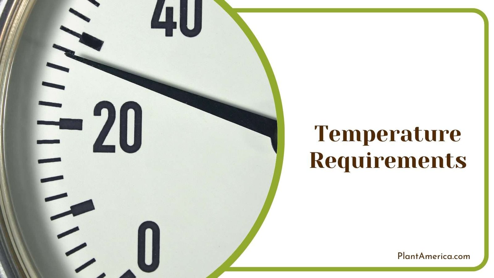 Circle Thermometer Plant America Circle Thermometer Plant America
