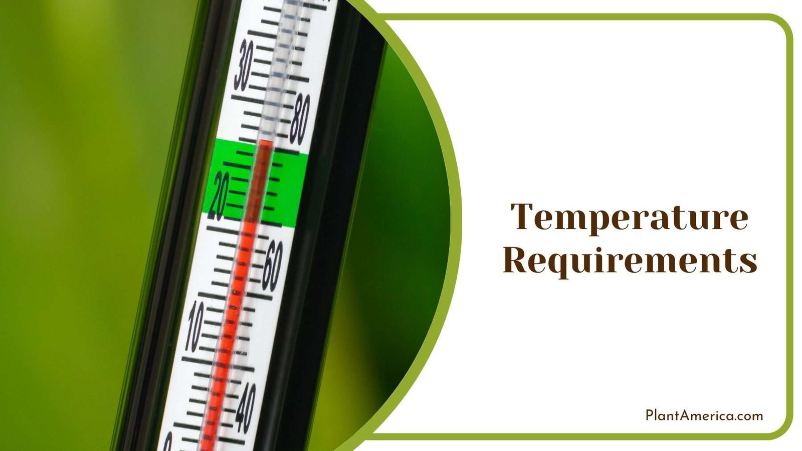Close Up Image Thermometer Plant America