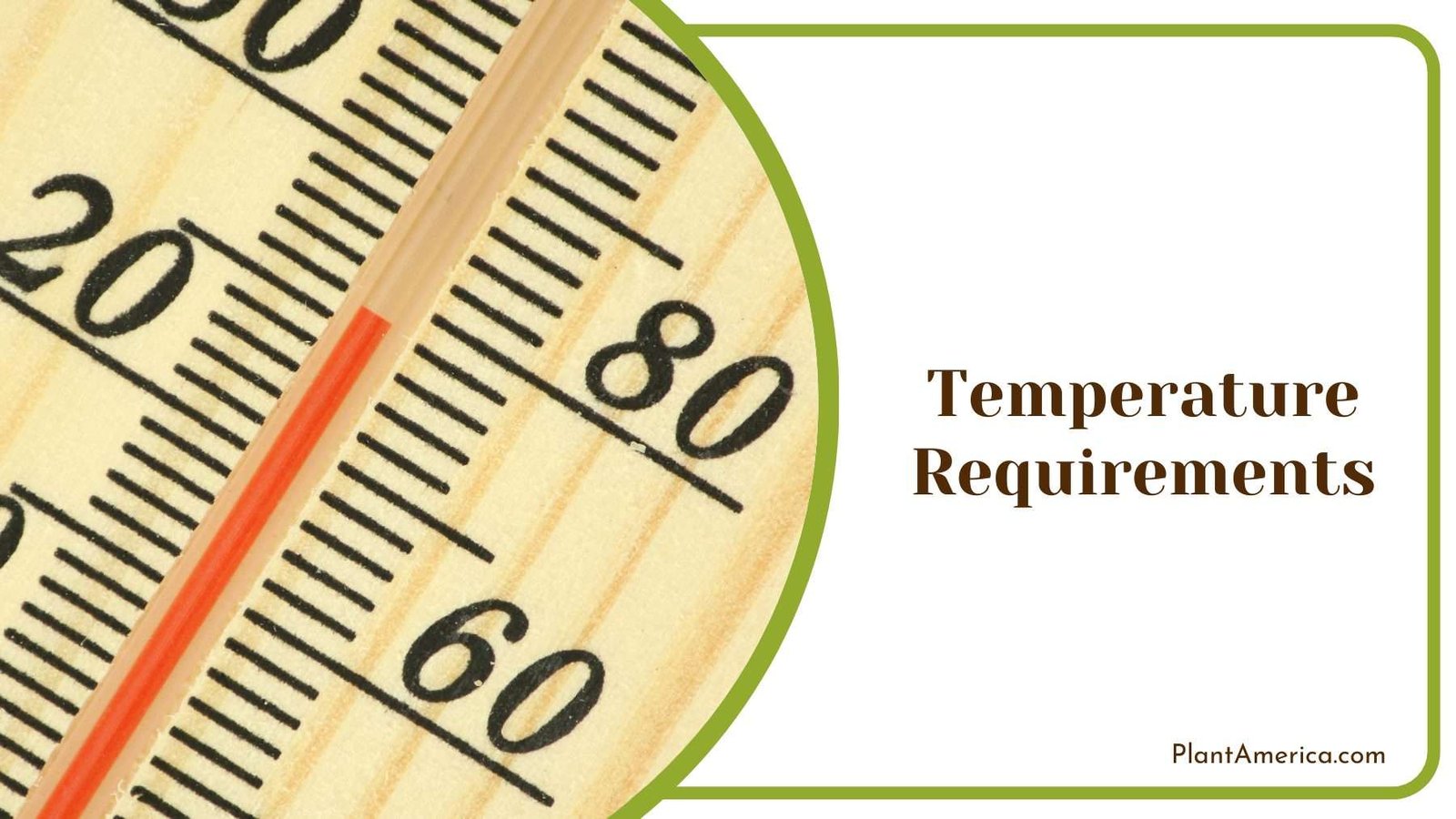 Close Up On a Wooden Thermometer Plant America Close Up On a Wooden Thermometer Plant America