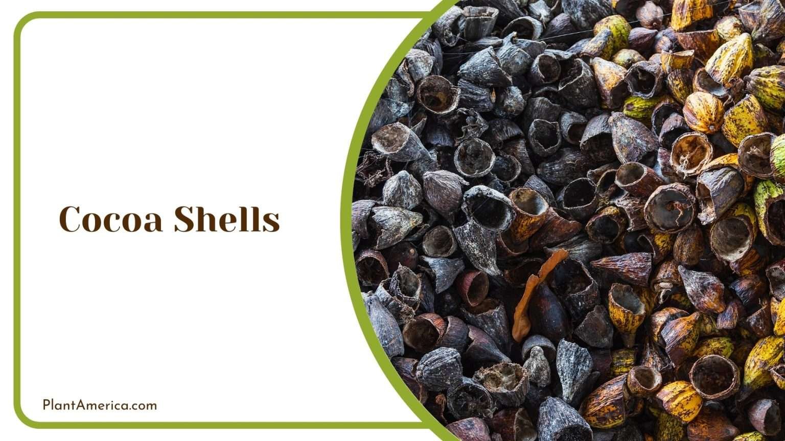 13 Organic Mulch Types for Your Gardens and Planting Areas - Plant America