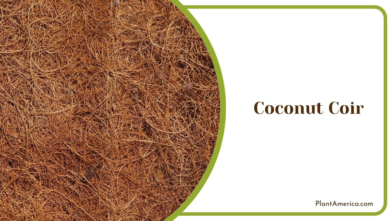 Coconut Coir Plant America