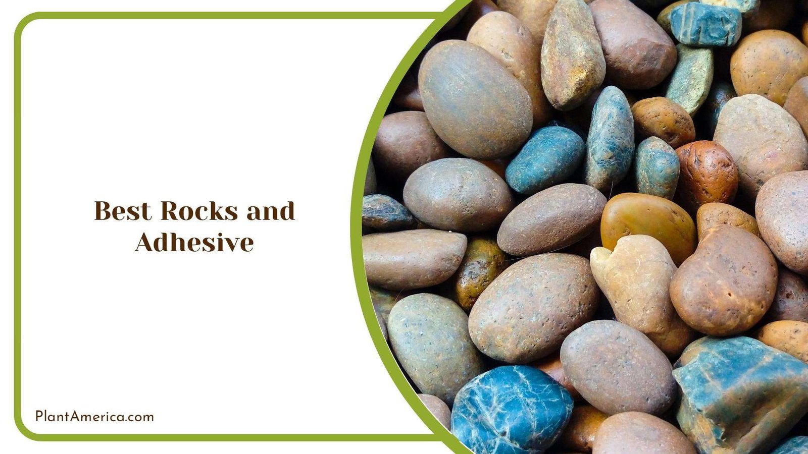 Different Types of Stones for Growing Moss on Plantamerica Different Types of Stones for Growing Moss on Plantamerica