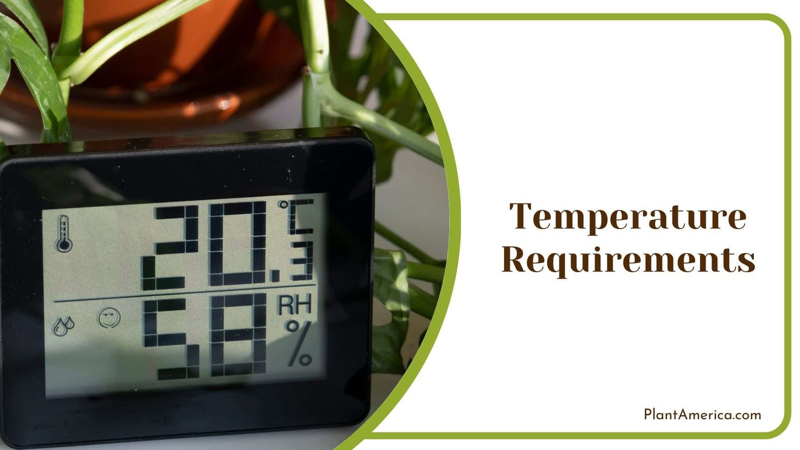 Digital Room Thermometer Plant America