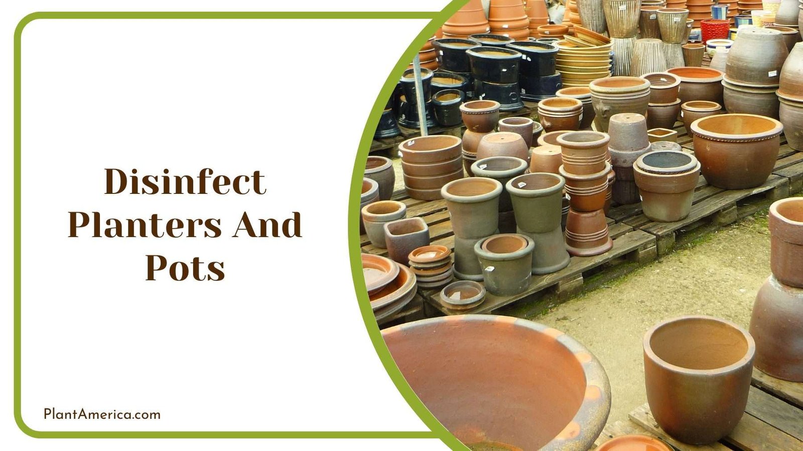 Disinfect Planters And Pots Plant America