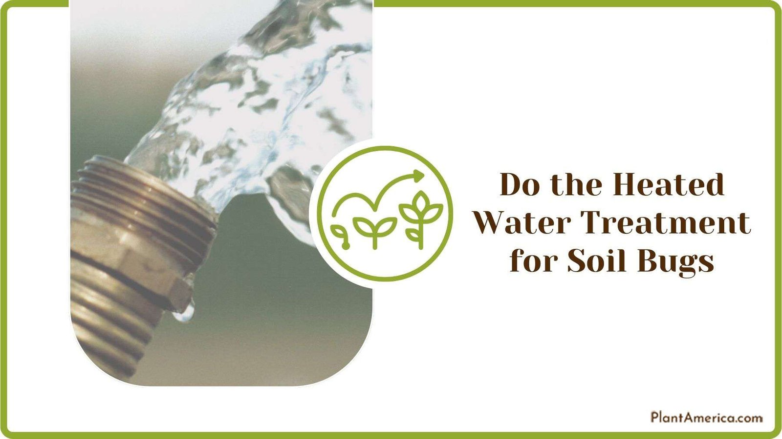 Doing the Heated Water Treatment for Soil Bugs Plant America